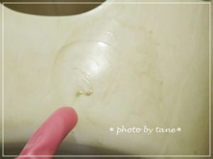 p1040010